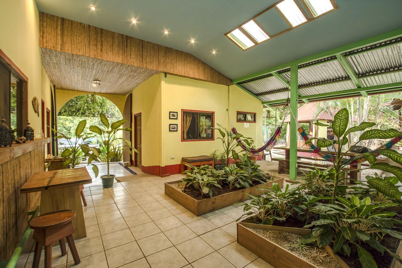 Indra Inn Playa Grande Extérieur photo
